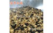 大型炒菜機什麽加熱方式好多少（shǎo）錢